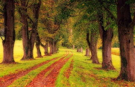 Private Guided Walking Tour of Cork, Ireland