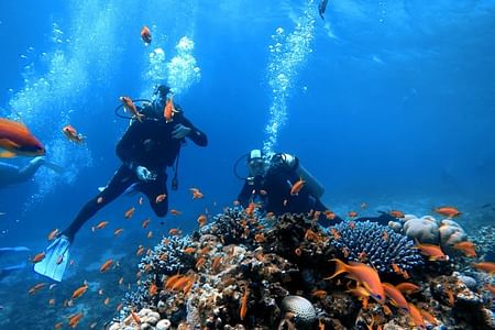 Private Diving & Camping Experience at Blue Hole and Blue Lagoon, Dahab