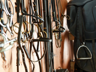 1,5h Trail Ride for All Levels, photo 12