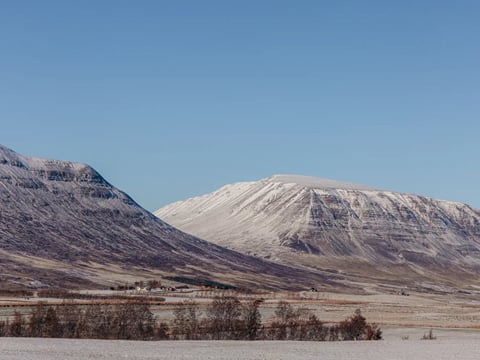 Private! Majestic Iceland: Goðafoss Waterfall, Holiday Magic and Horseback Bliss, photo 10