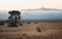 Nanyuki Overnight Safari - Ol Pejeta Conservancy  3