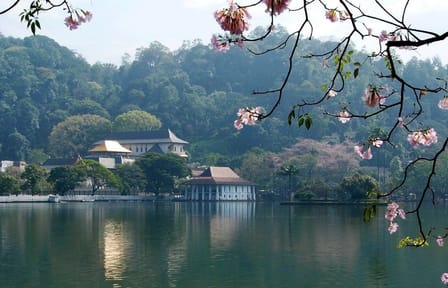 Airport Transfer from Katunayaka Airport to Kandy