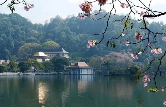 Airport Transfer – Katunayaka Airport to Kandy