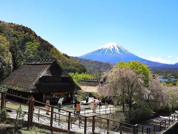 Mt. Fuji,Saiko Iyashi-no-Sato Nenba&Kawaguchi Lake