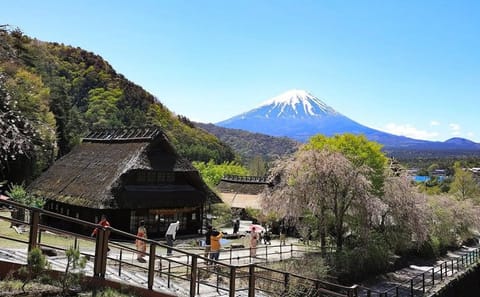 Mt. Fuji,Saiko Iyashi-no-Sato Nenba&Kawaguchi Lake