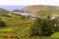 Explore Cape Clear island departing from Schull - Self-guided 4