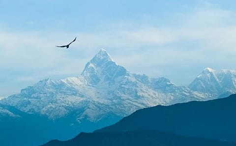 3-Day Annapurna Trek and Dhampus Hill Adventure in Nepal