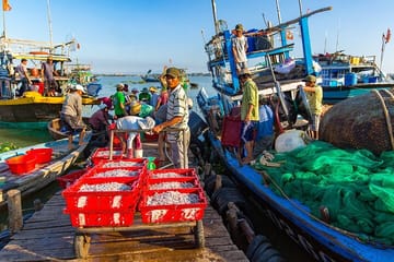 Hoi An River Cruise and Village Tour from Duy Hai