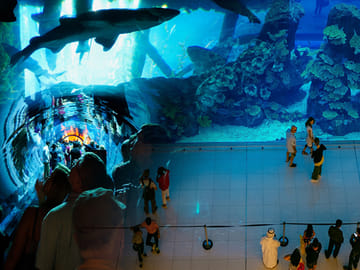 Private Half-Day Dubai City Tour with Burj Khalifa and Dubai Mall