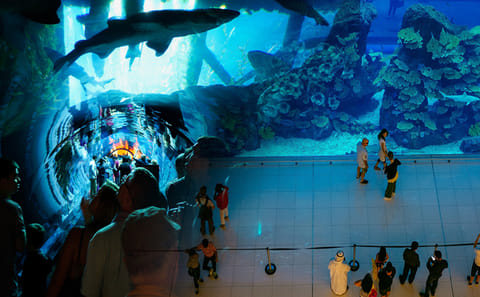 Private Half-Day Dubai City Tour with Burj Khalifa and Dubai Mall