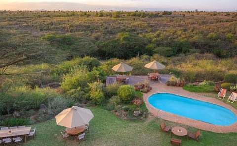 3-Day Safari Adventure in Nairobi National Park, Kenya