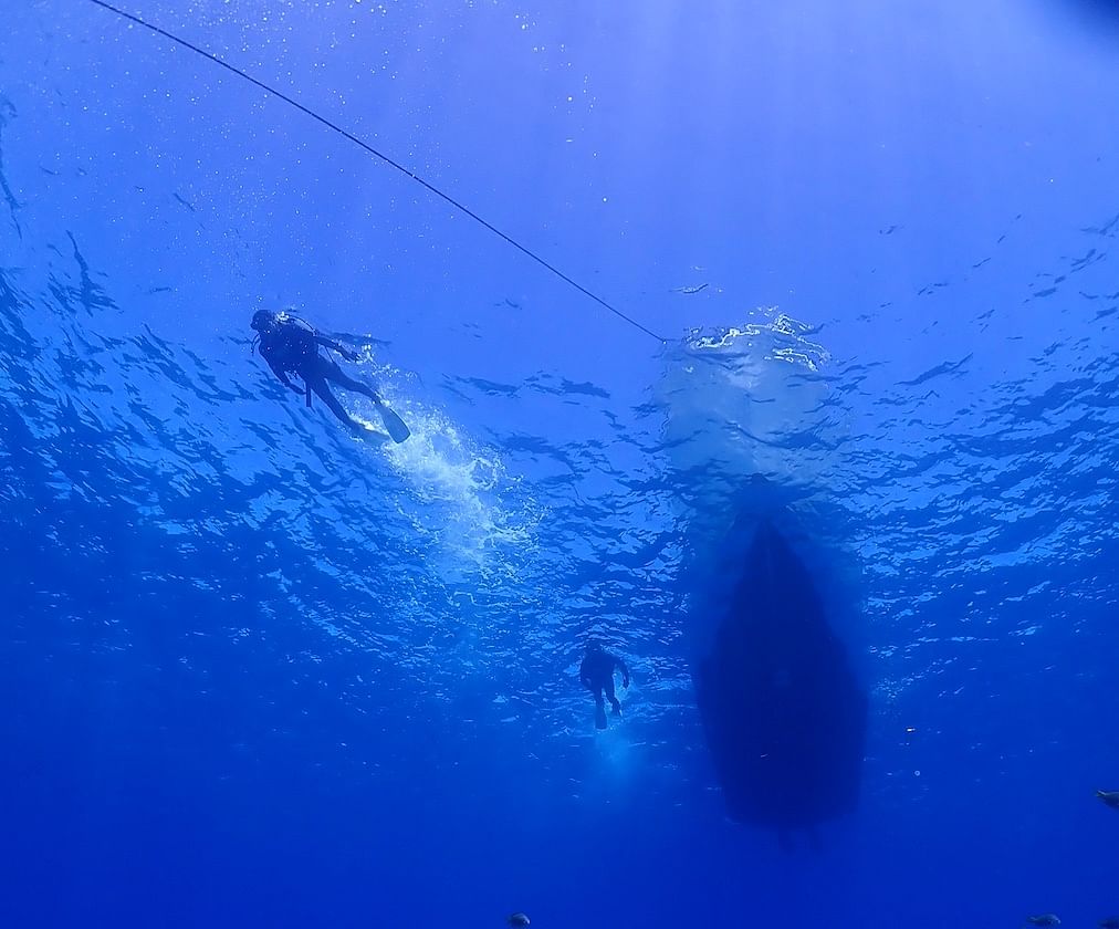 Boat Fundive 2Dives at Minna Isl or Sesoko , Okinawa