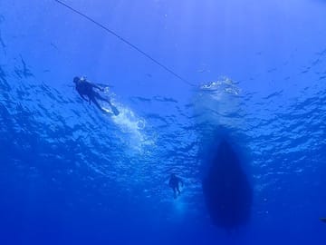 Okinawa Boat Diving Tour at Minna, Sesoko, or Motobu