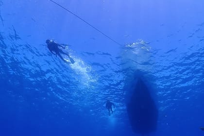 Okinawa Boat Fun Diving at Minna, Sesoko or Motobu