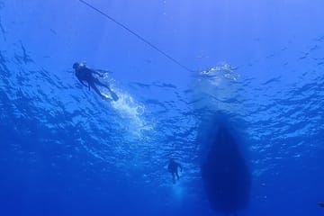 Okinawa Boat Diving Tour at Minna, Sesoko, or Motobu