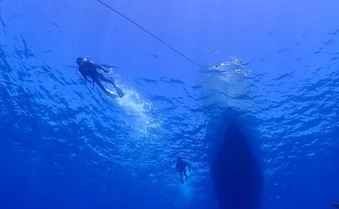 Okinawa Boat Diving Tour at Minna, Sesoko, or Motobu