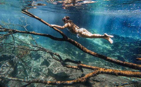 From Arusha: Kikuletwa (Chemka) Hot Springs Day Tour