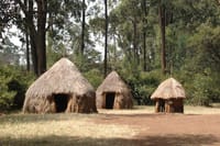 Half-Day Cultural Tour to Bomas Cultural Dances in Nairobi 6