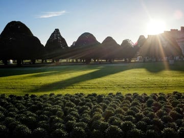 Day Trip to Hampton Court Palace from London with Guided Tour