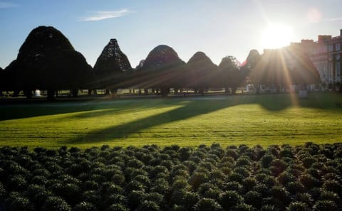 Day Trip to Hampton Court Palace from London with Guided Tour
