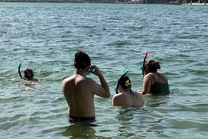Beginner snorkeling in the Florida Keys National Marine Sanctuary