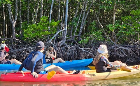 Kayaking or Longtail Boat Tour of Ko Lanta Yai Mangroves