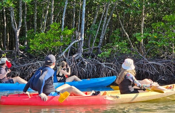 Half day Mangrove by Kayaking or Longtail boat from Koh Lanta