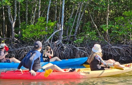 Kayaking or Longtail Boat Tour of Ko Lanta Yai Mangroves