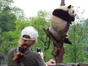 6-Day Essential Chengdu and In-Depth Jiuzhaigou Tour
