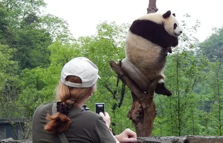 6-Day Chengdu and Jiuzhaigou Nature and Sightseeing Tour