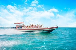 Private 60 Minutes Speedboat Tour in Dubai