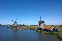 Private Day Tour of Tulips and Windmills Including a Pancake Lunch 7