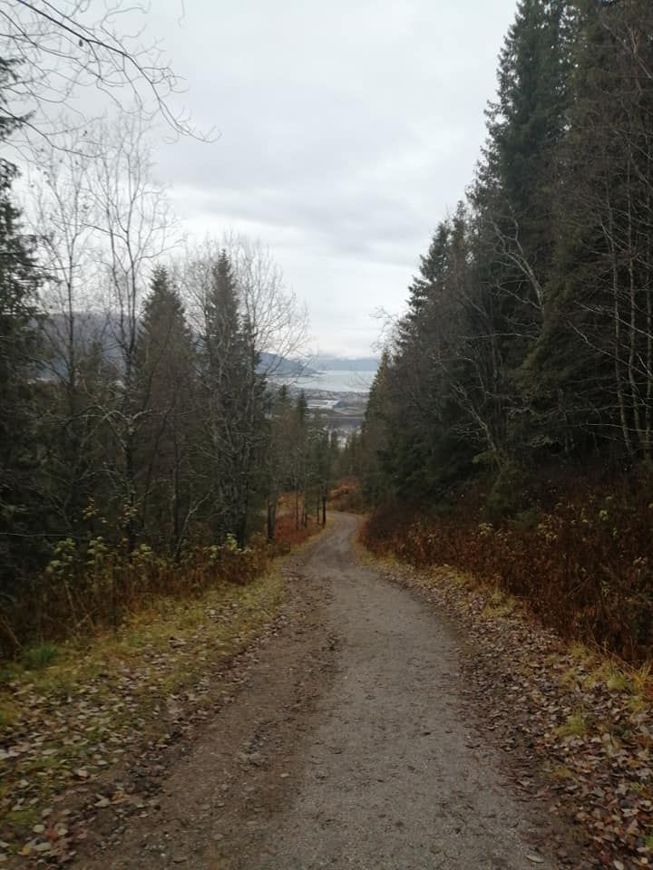 Guided hike to Tjuvtrappa (The "Thief stairs")