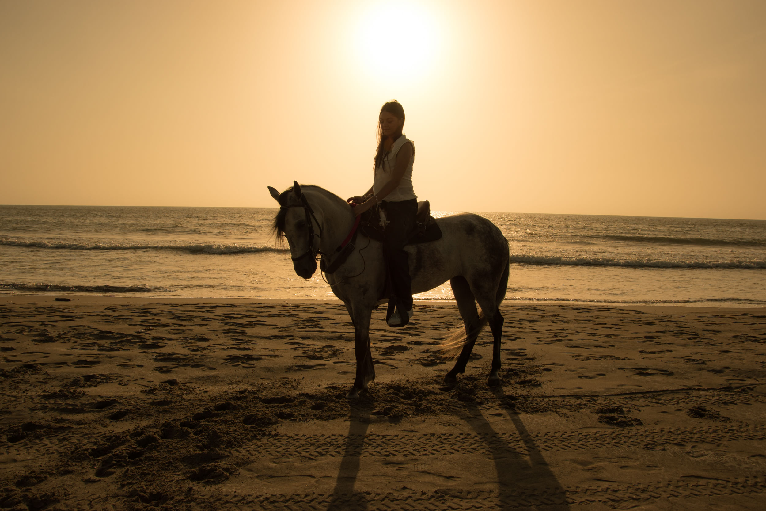Cabalgata en Caballo de Paso fino en la playa