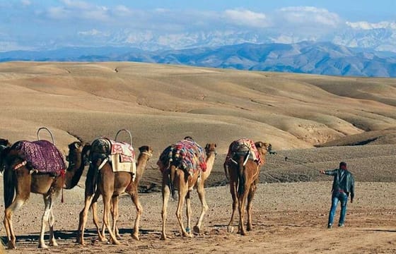 sunset camel ride with dinner show at agafay desert in marrakech