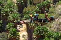 Half-Day Zip Line Adventure in Los Cabos 2