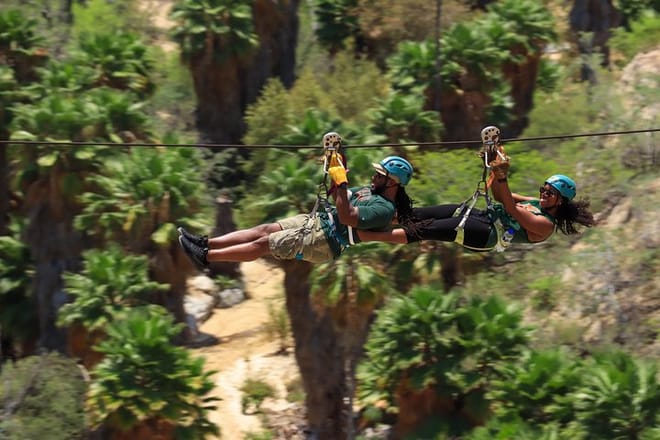 Half-Day Zip Line Adventure in Los Cabos 2