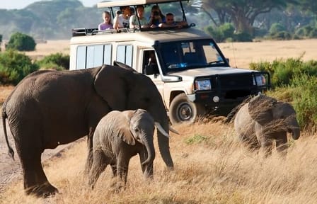 Samburu National Reserve and Lake Nakuru 4-Day Safari
