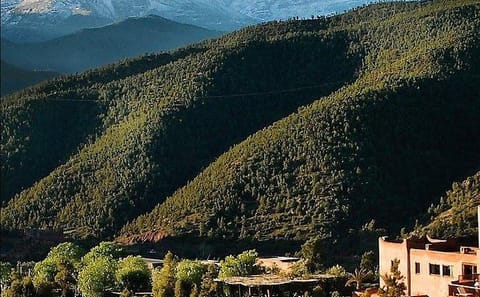 Private Day Trip to Ourika Valley from Marrakesh