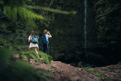 PR9 Queimadas Caldeirão Verde Levada Hiking Transfer