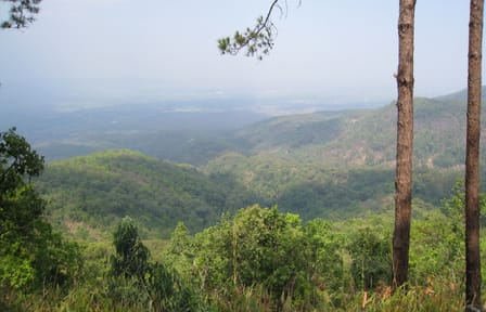 Advanced Mountain Biking Tour in Suthep, Chiang Mai