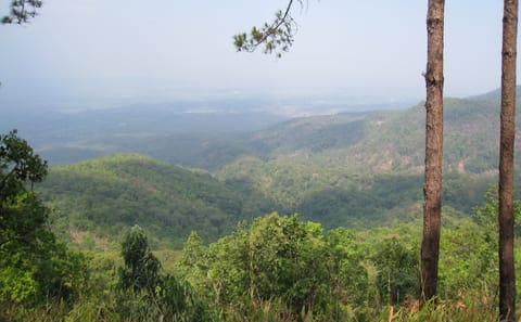 Advanced Mountain Biking Tour in Suthep, Chiang Mai