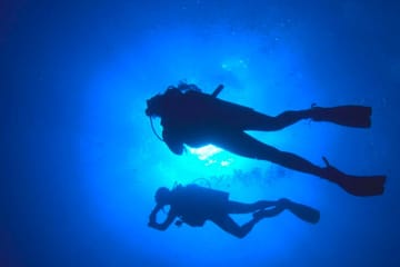 Scuba Diving Adventure in Paracas, Peru with PADI Guide