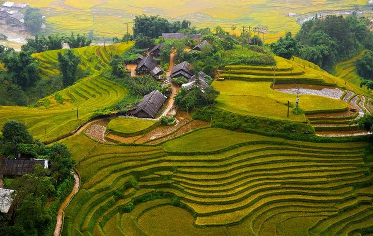 Sapa Trekking 3days – 2night by Bus with 1night homestay & 1night hotel