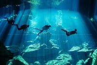 Scuba Diving in the Mystical Cenotes of Tulum 5