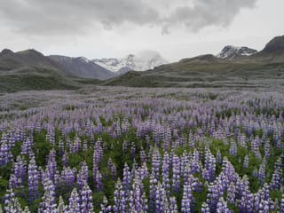 Private Hike Tour to Landmannalaugar - Explore the Highlands with 4x4 Super Jeep, photo 12