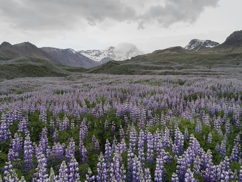 Private Hike Tour to Landmannalaugar -  Explore the Highlands with 4x4 Super Jeep, photo 12