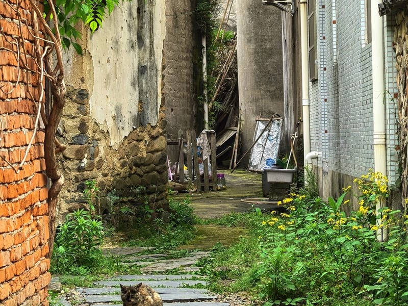 Hangzhou: Tonglu Ancient Villages & Fruit-Picking Day Trip