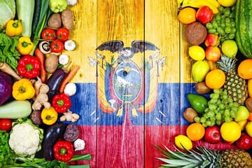 Typical Food and Beverage Private Tour of Hidden Gems in Cuenca