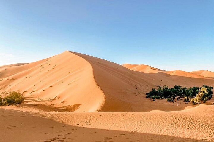 Lunch at Merzouga Oasis: 4WD Adventure & Nomadic Experience